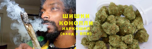 mdpv Каменногорск