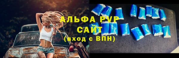 mdpv Каменногорск