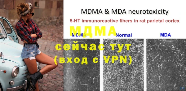 mdpv Каменногорск