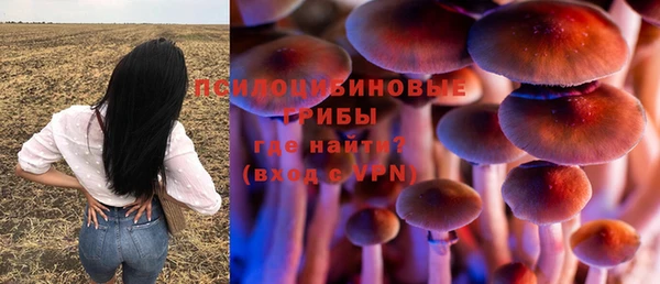 прущие крисы Каменск-Шахтинский