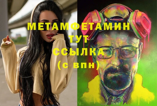 mdpv Каменногорск