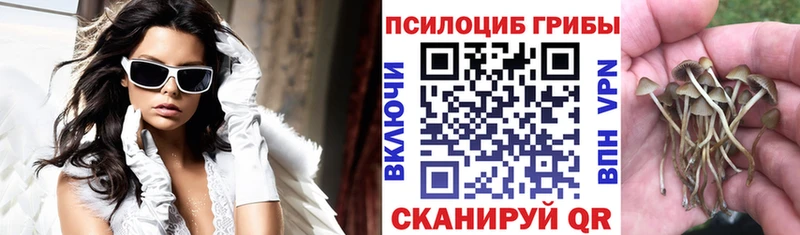 Купить где  Ишим  Псилоцибиновые грибы ЛСД 